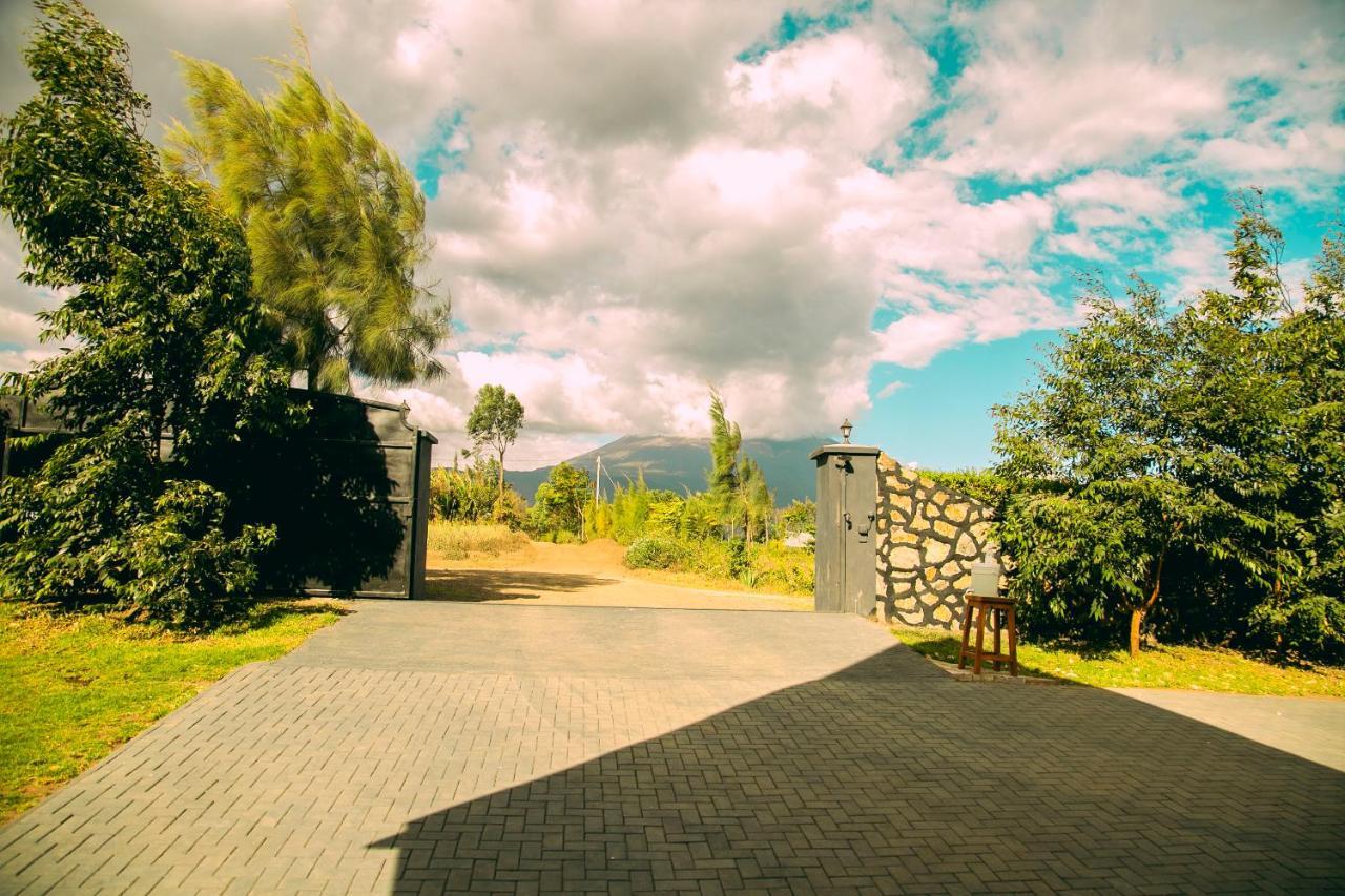 Shamba Lodge Cabin B 아루샤 외부 사진