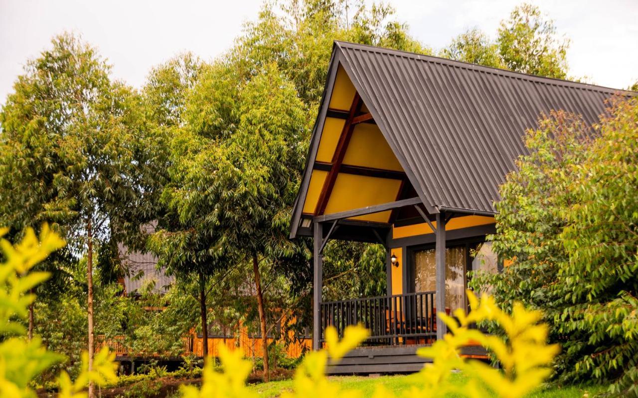 Shamba Lodge Cabin B 아루샤 외부 사진